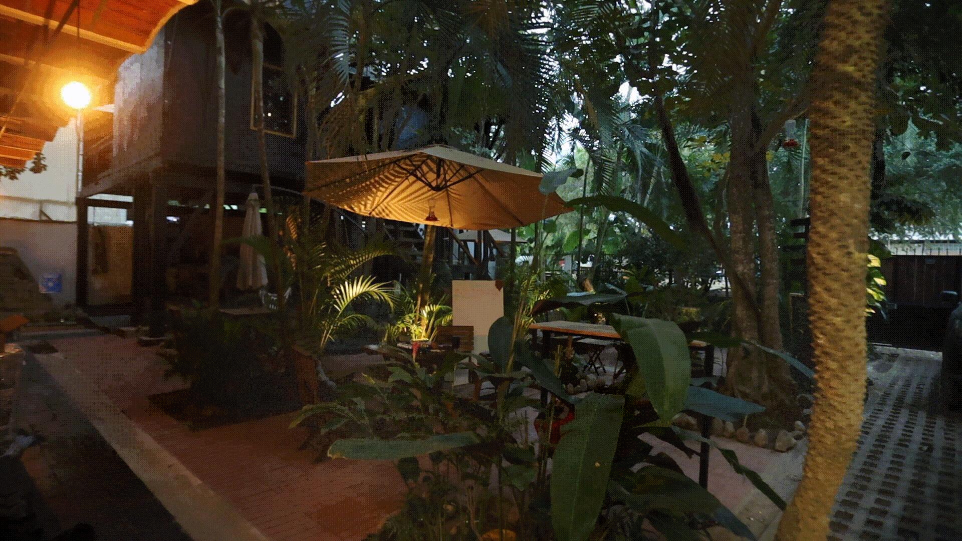 Photo of the El Refugio Garden